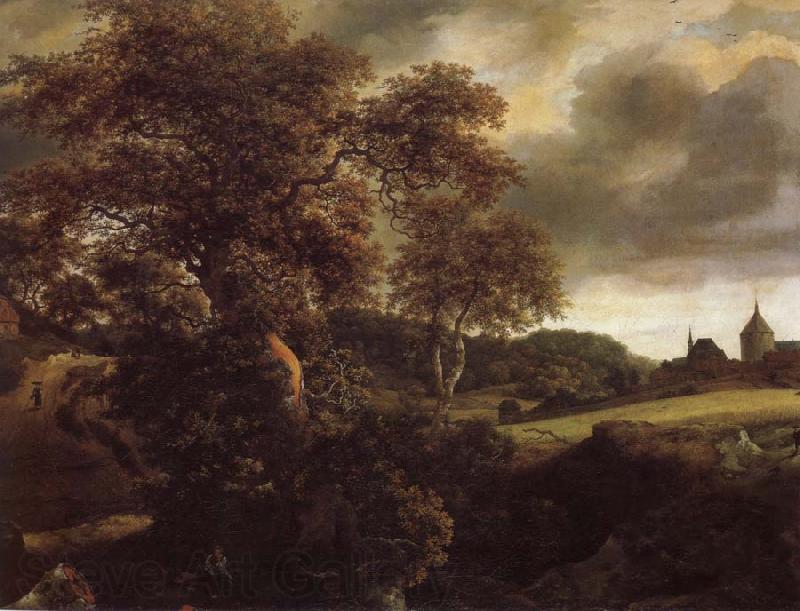 Jacob van Ruisdael Hilly Landscape with a great oak and a Grainfield Spain oil painting art